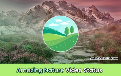 Most Beautiful Natural Scenery Status Videos: Relaxing Nature Videos Status For Whatsapp 2024 Image