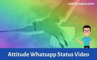 Attitude Status Video Download | Best Boy and Girl Attitude Status in Hindi, Punjabi