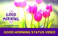 Good Morning Status Videos: Latest Good morning status, best greetings for Whatsapp and more
