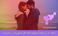 Cute Love Couple Status Videos Download in Hindi Songs