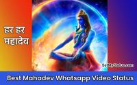 Mahadev Status Videos Download - Mahadev attitude whatsapp status
