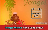  2024 Happy Pongal Status Video For Whatsapp Wishes Download