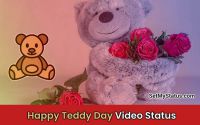 Happy Teddy Day Wishes Status Video Download For Whatsapp, Fb, Insta