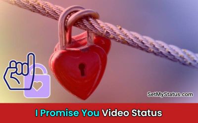 Lovely Promise Whatsapp Status videos Download Image