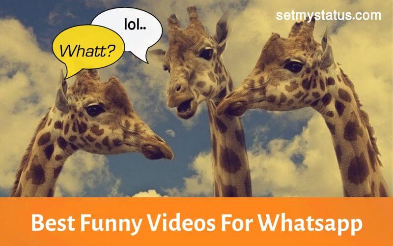 2022) Funny Whatsapp Status Videos - Best Comedy Video Status Download