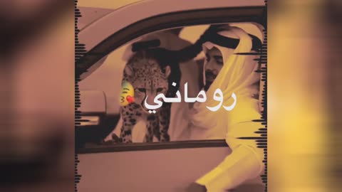 Arabic Attitude Version 2 Status Video