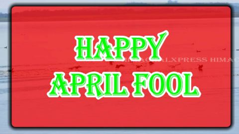April Fool Day Whatsapp Status Video 