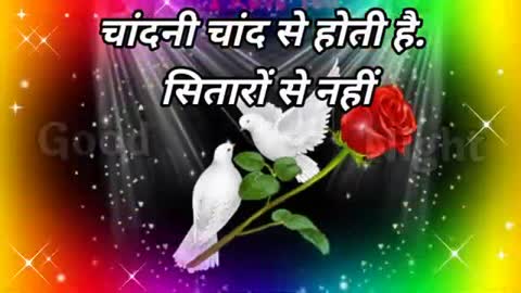 Good Night Love Shayari In Hindi Video Sms Greetings Romantic Status  Wallpaper